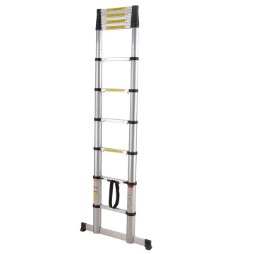 Soft close telescopic ladder