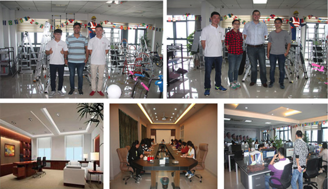 Aluminum Scaffold ladder 